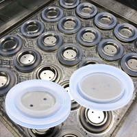 Silicone Rubber Transfer Injection Molding